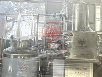 真空低温脱水果脆片油炸机